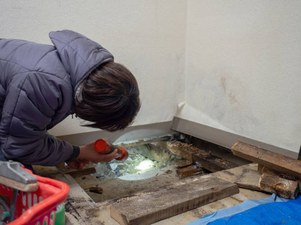 Best Comprehensive Air Testing for Mold Contaminants  in Thorsby, AL