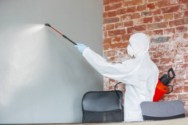 Best Biohazard Mold Removal  in Thorsby, AL
