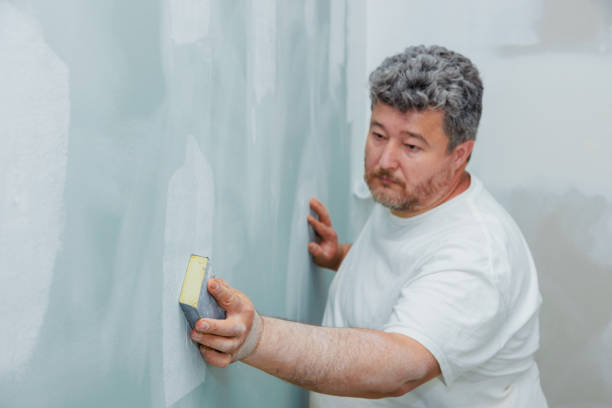 Best Basement Mold Removal  in Thorsby, AL