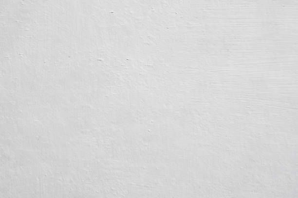  Thorsby, AL Mold Removal Pros