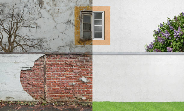 Best Environmental Consulting for Mold Prevention  in Thorsby, AL